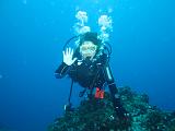 Isla del Coco - 22